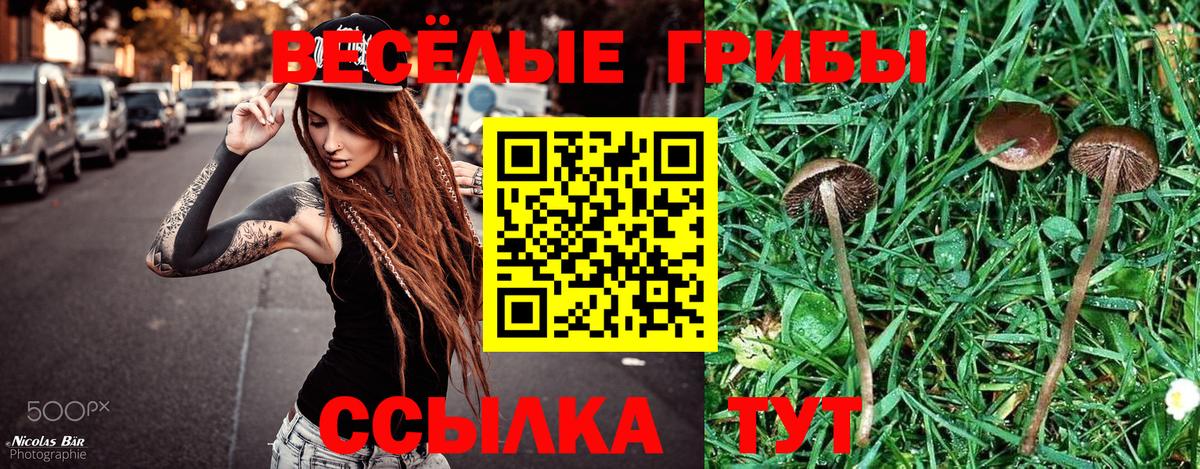 Галлюциногенные грибы мицелий Сургут